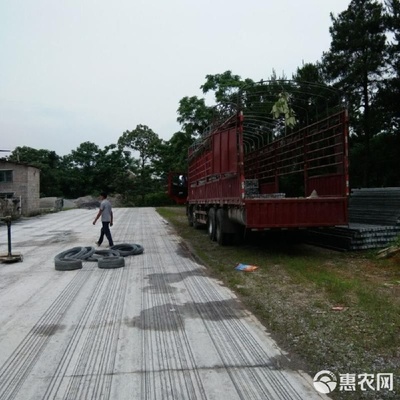 立柱式棚架 热销水果种植的理想遮阳篷解决方案